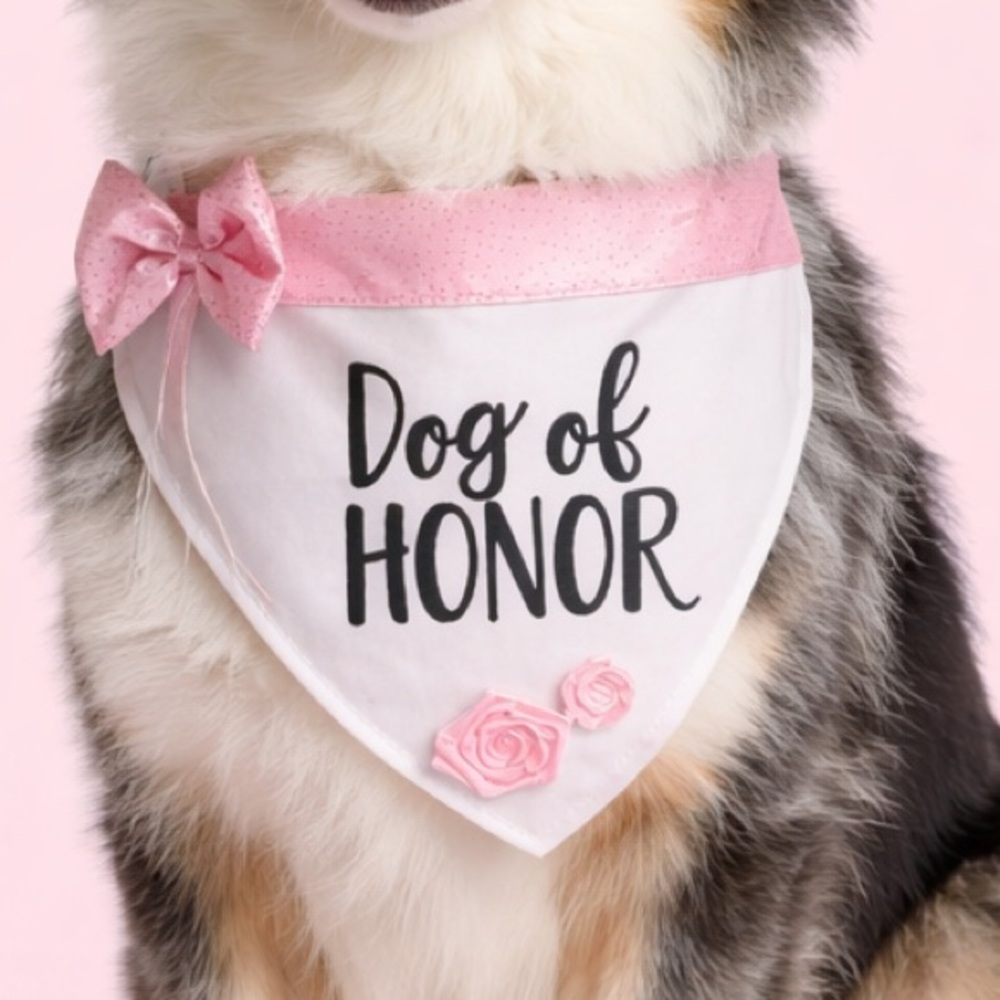 Dog of Honor‎ Bandana Wedding Pink White Bow Roses Sz Medium- 20-50lbs